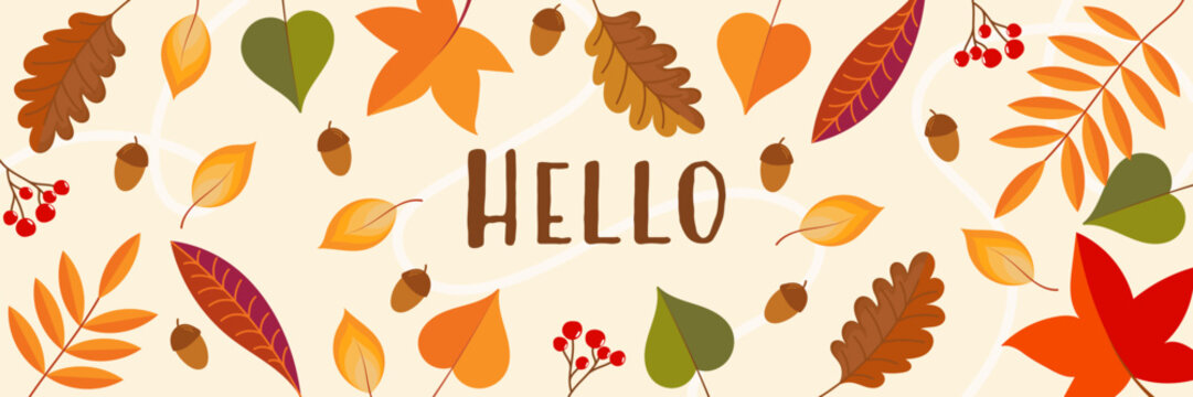 Hello - Schriftzug in englischer Sprache - Hallo. Gru&szlig;karte mit bunten Bl&auml;ttern, Eicheln und Beeren.