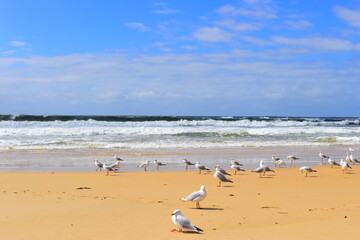 
Nobby's Beach, Newcastle, NSW Australia . March 2021 . This was during the Covid 19 pandemic on a hot sunny day. 