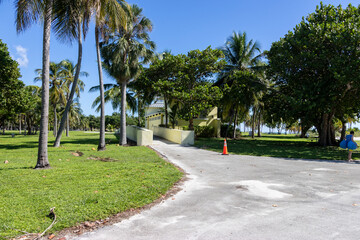 Obraz premium a stunning summer landscape at Crandon Park along a footpath with lush green palm trees and grass, people walking and a gorgeous clear blue sky in Key Biscayne Florida USA