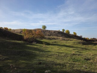 A grassy hill with trees on it