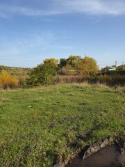 A grassy field with trees and a blue sky