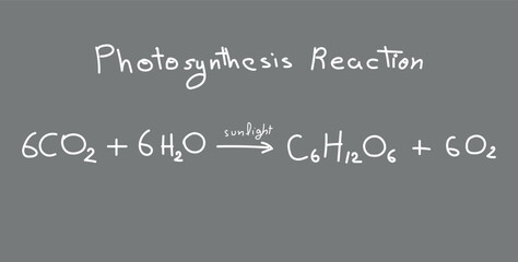 Photosynthesis equation. Carbon dioxide, water, sugars and oxygen. Chemical reaction with reactants and products. Chemical resources for teachers and students. Scientific doodle handwriting concept. - obrazy, fototapety, plakaty