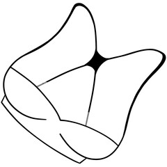 White bra