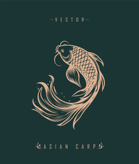 Fototapeta premium Chinese carp traditional art form 