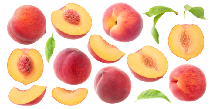 Collection of whole and cut peach fruits and leaves, cut out