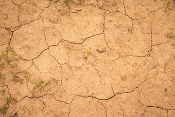 Dehydrated earth with cracks. Dry land. Cracked Ground, Earthquake Background, Texture