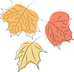 Maple leaves. Line art. Autumn color line art. High quality vector illustration.