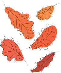 Oak leaves. Colored line art. Leaves drawn with black lines. High quality vector illustration.