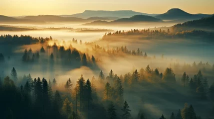 Fotobehang early morning sunrise foggy forrest, treetips standing out of fog autumn fall foggy fall sunrise drone shot © ND STOCK