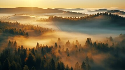 Fototapeta premium early morning sunrise foggy forrest, treetips standing out of fog autumn fall foggy fall sunrise drone shot