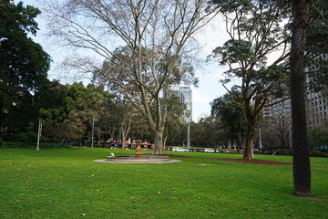 Fototapeta na wymiar Hyde Park in Sydney, Australia - オーストラリア シドニー ハイドパーク