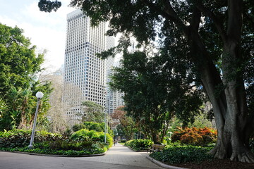 Hyde Park in Sydney, Australia - オーストラリア シドニー ハイドパーク
