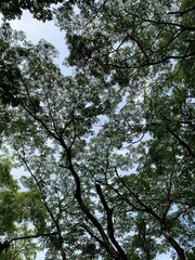 Fototapeta premium Peace and quiet on vacation