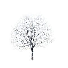 icons Generative AI