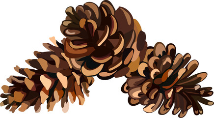 Brown pine cone with seeds. drawing of seasonal autumn pine cone . Autumn or fall, season, flora concept. vector. Eps 10