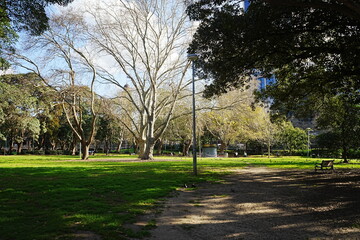 Belmore Park in Sydney, Australia - オーストラリア シドニー ベルモア パーク
