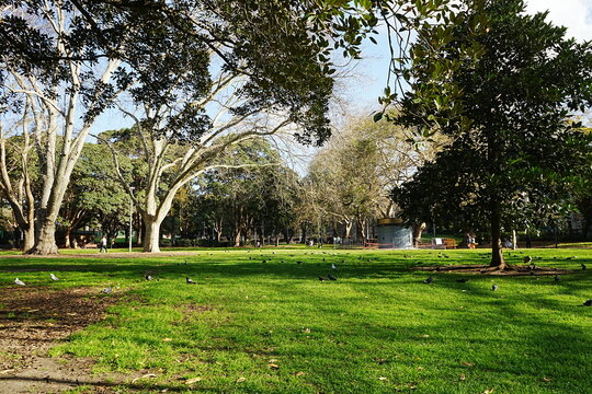 Belmore Park in Sydney, Australia - オーストラリア シドニー ベルモア パーク