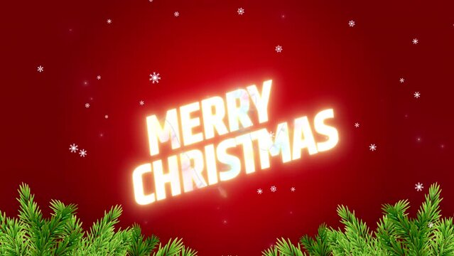 Merry Christmas Greeting
