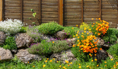 Jardin paysagé et plante verte devant une maison au printemps. - obrazy, fototapety, plakaty