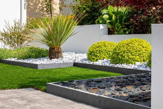 Jardin paysag&eacute; et plante verte devant une maison au printemps.