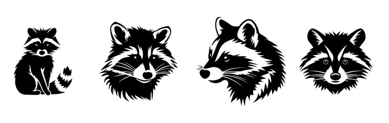 black and white illustration of raccoon