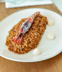 Plato gourmet de arroz con gamba de costa