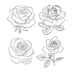Rose Flower line art design 