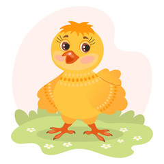 Cute cartoon little chicken in a meadow with daisy flowers. Illustration in flat style. Children's print, postcard. Vector
