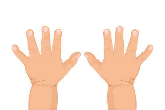 Baby's hands on a white background. Print, logo, newborn illustration, vector