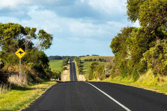 Australian road with iconic Kangaroo crossing signal.