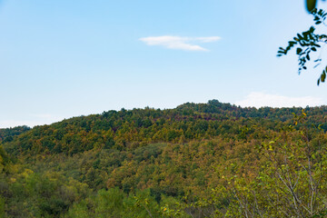 Hill covered in dense forest under the blue autumn sky in nature. The forest has taken on golden autumnal hues, a natural background concept