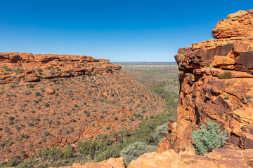 Kings Canyon, Northern Territory, Australia with green bush and flowers