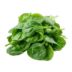 Bunch of Fresh Spinach Leaves�Isolated on a transparent background