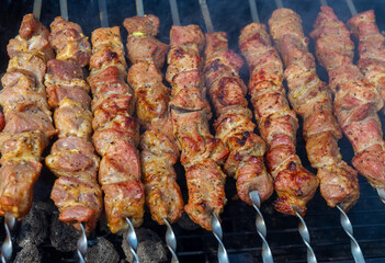 B-B-Q. Cooking barbecue in the backyard of the house