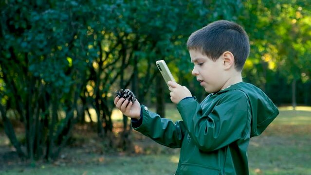 A little boy takes a picture with his phone of a pinecone in nature