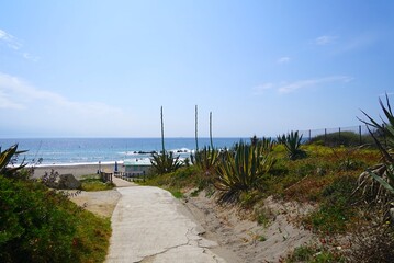 path with agaves at the side to the beach in La Alcaidesa, Costa del Sol, Andalusia, Malaga, Spain