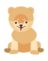 dog poodle illustration