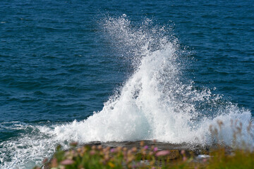 vague qui s'&eacute;crase sur un rocher en Bretagne-France