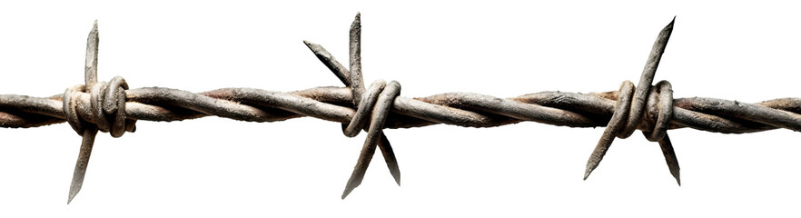 A piece of stretched barbed wire with three sharp coils. Isolated on a transparent background