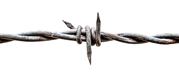 A piece of stretched barbed wire with one sharp coil. Isolated on a transparent background - obrazy, fototapety, plakaty