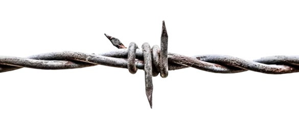 Foto op Canvas A piece of stretched barbed wire with one sharp coil. Isolated on a transparent background © Semper Fidelis