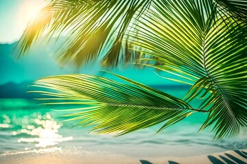 palm trees on the beach