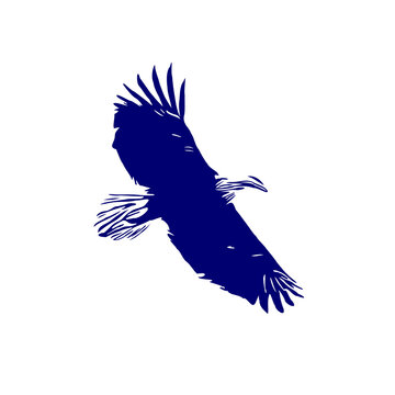 line sketch of an eagle as an element for making logos, activity symbols and organizational symbols
