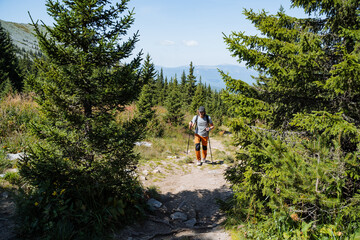Fototapeta premium Trekking in the mountains, a guy walks along a mountain trail with a backpack, a walk with trekking poles in the forest, a hike to the top of the mountain.