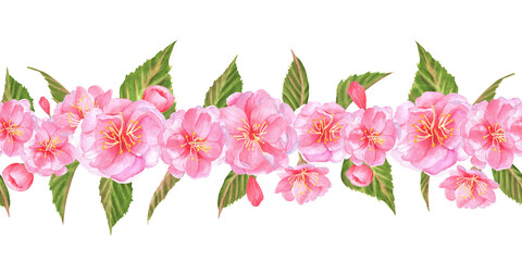 Hand-drawn watercolor illustration. Floral seamless garland with sakura flowers, buds and leaves