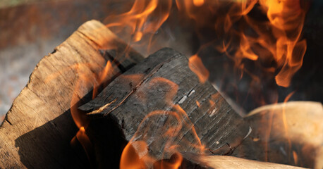 Fire campfire wood fire embers