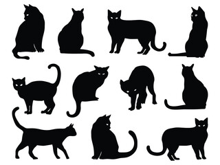 Silhouette of a black cat, a Halloween silhouette element.