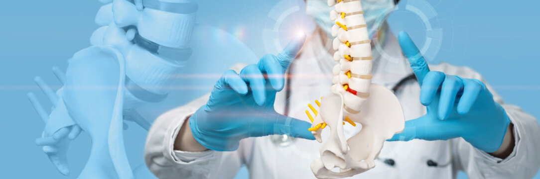 The concept of protection and treatment of the spine.