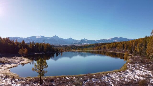 Picturesque view of Kidelu lake surrounded by coniferous forest and Altai mountains under blue sky