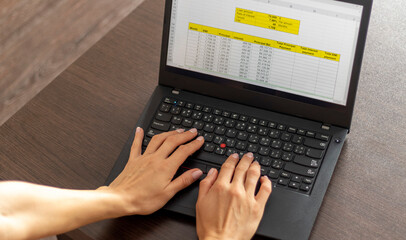 Shot of a woman working on the laptop showing an excel sheet on the screen with bank loan amortization table. Accounting - obrazy, fototapety, plakaty